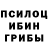 Псилоцибиновые грибы Magic Shrooms Munisa toxtamishova