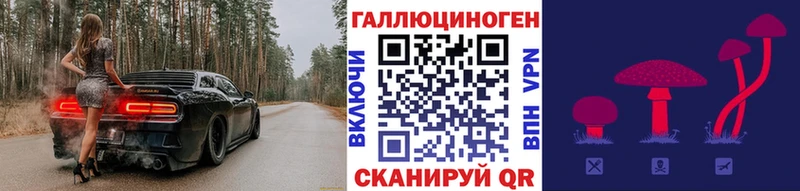 маркетплейс официальный сайт  KRAKEN маркетплейс  Нелидово  Псилоцибиновые грибы GOLDEN TEACHER 